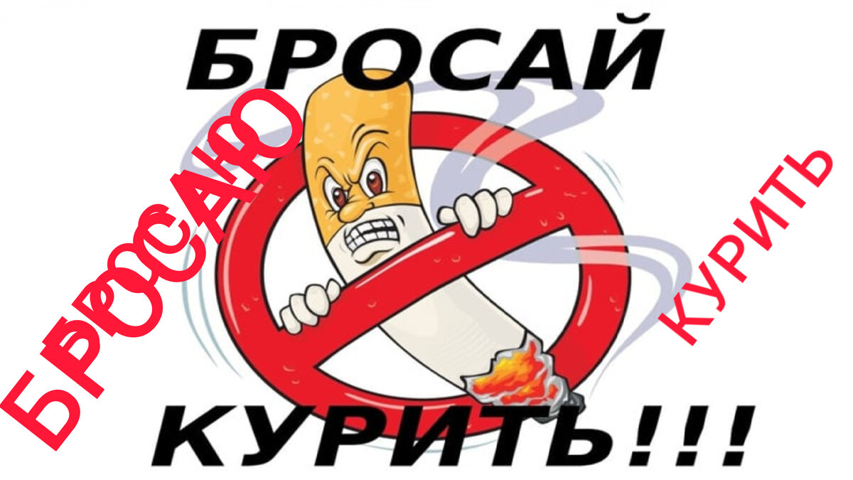 Фото интернета.