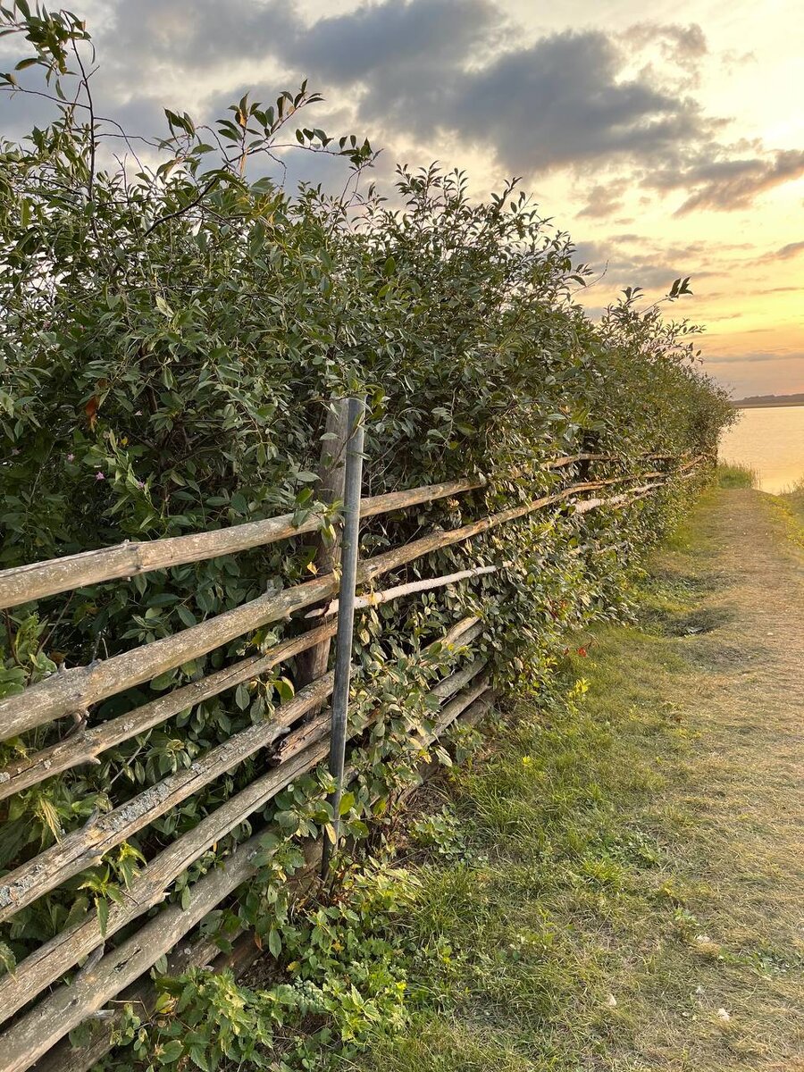 Село Прошкино