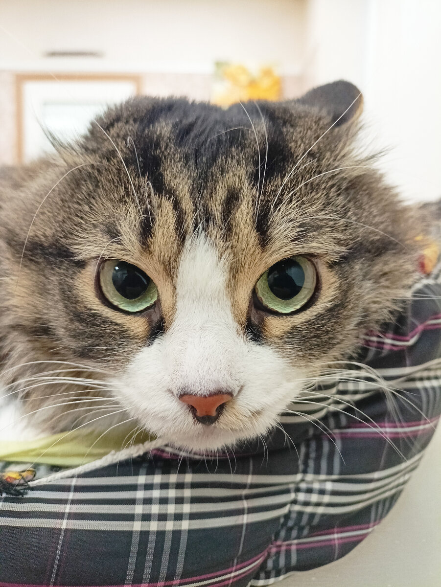 В кабинете страшно)