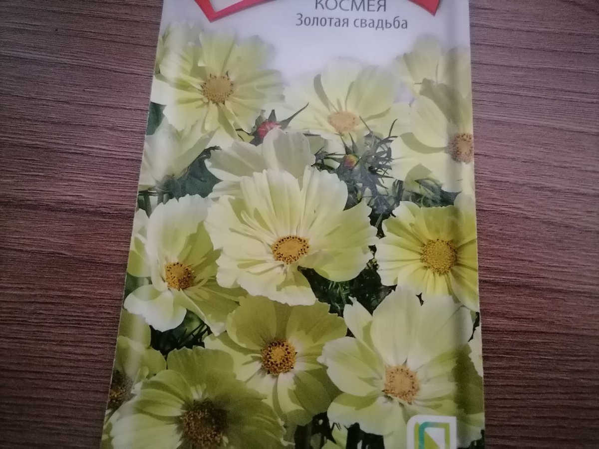 Семена космеи