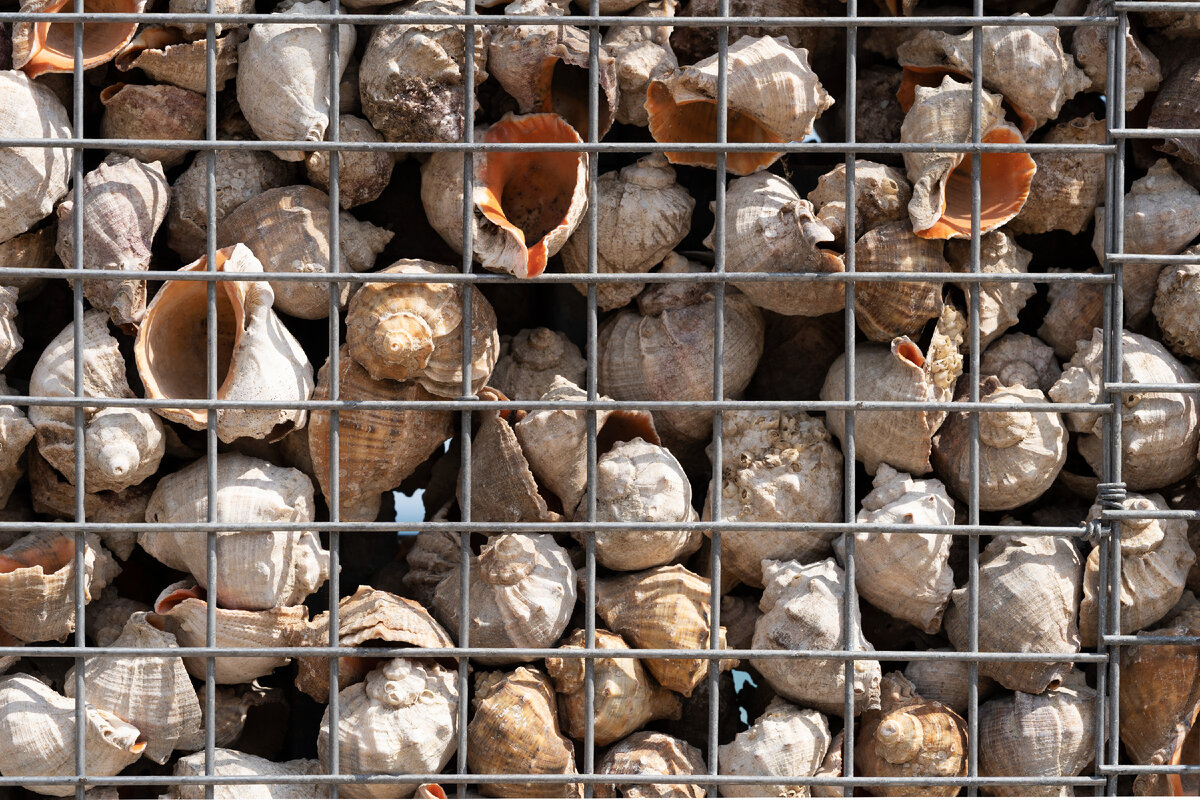 Источник фото: freepik.com