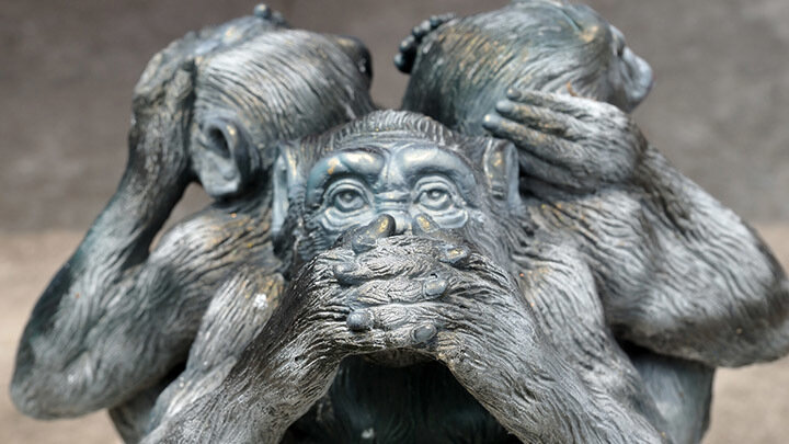 ФОТО: APIRAKTHANAKORN/SHUTTERSTOCK.COM