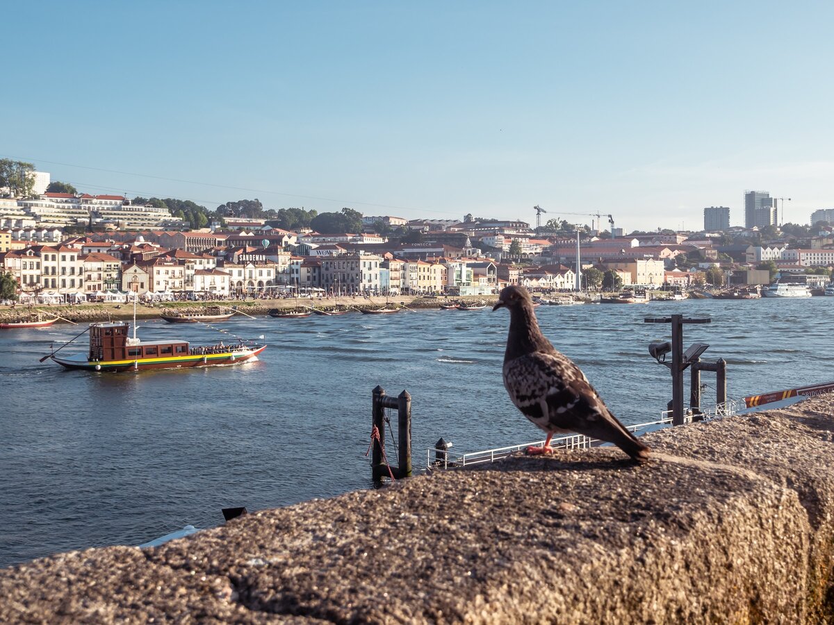 Картинка с бесплатного фотостока https://unsplash.com, автор Juan Gomez