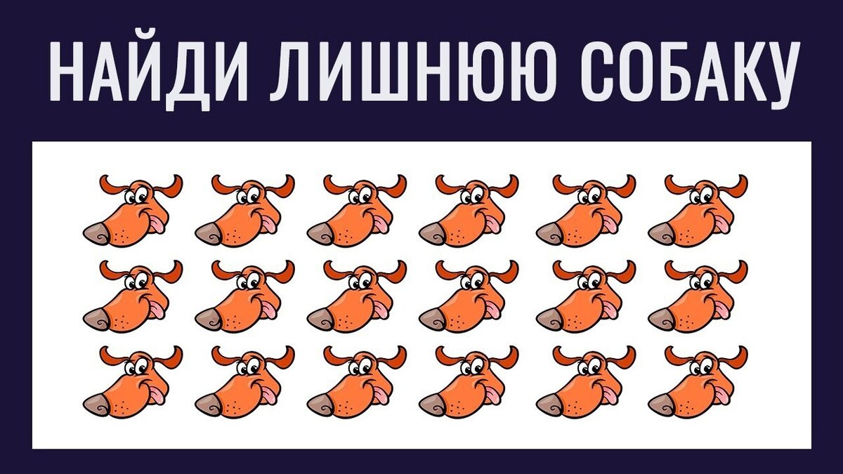 Загадки на картинках на внимательность