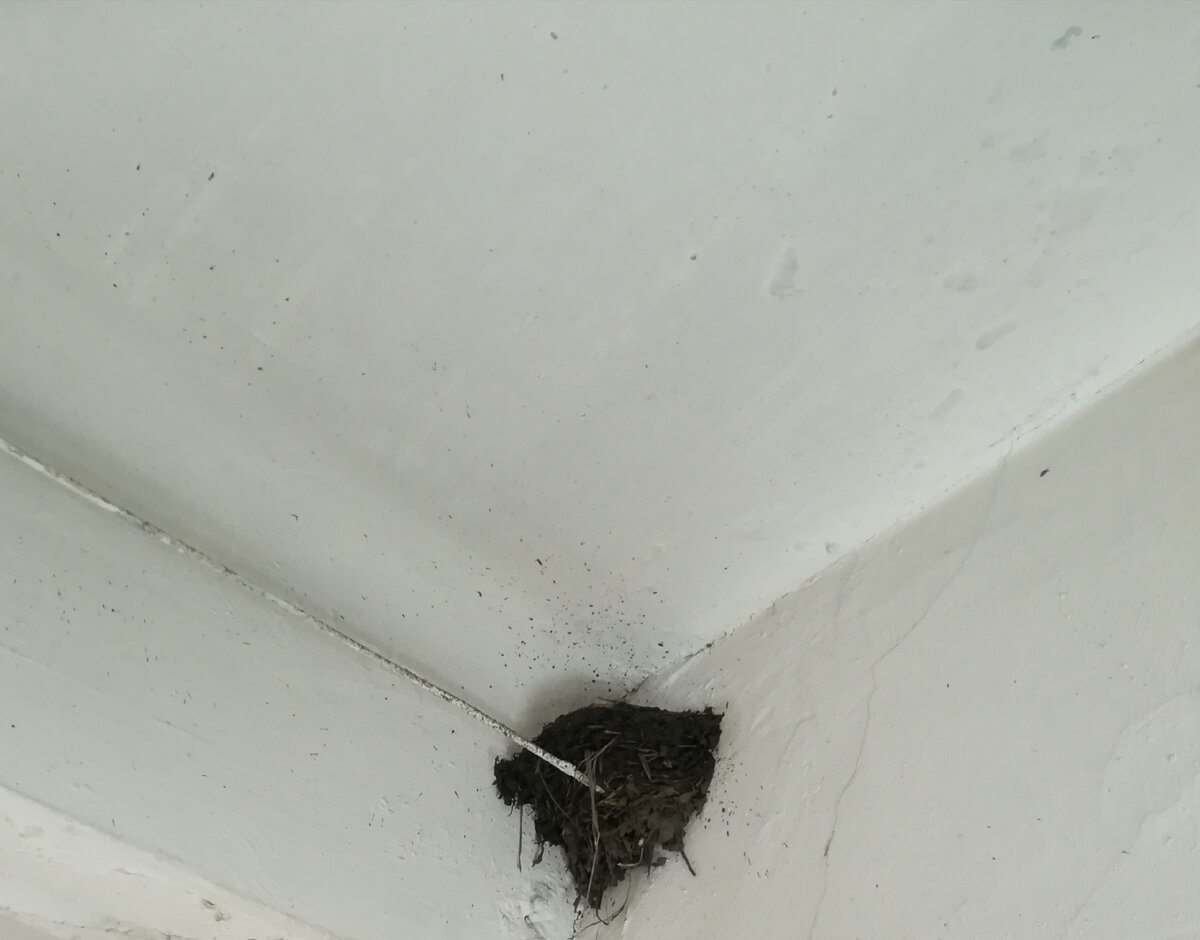 Вот такая красота!