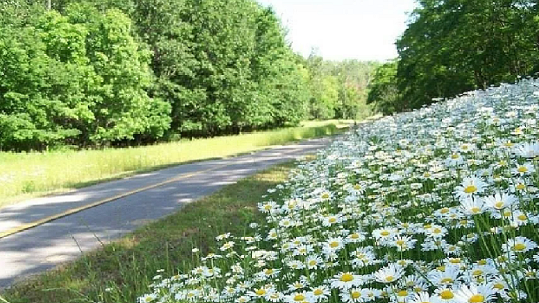 Картинка взята в интернете