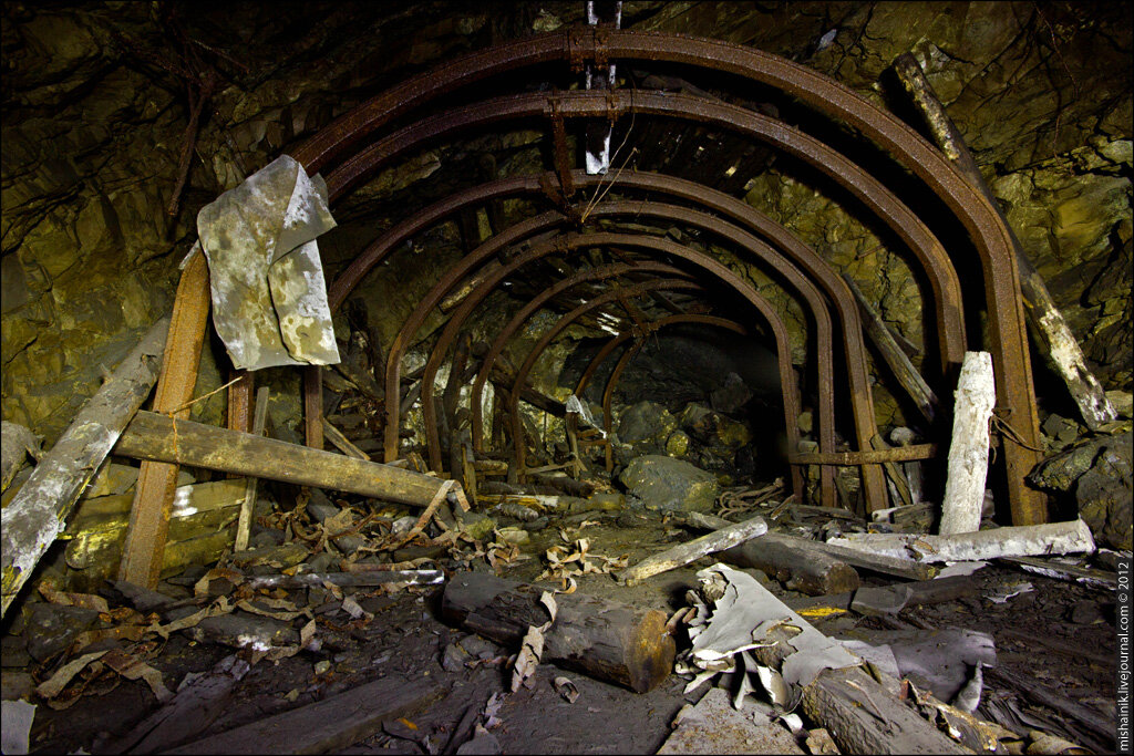 фото из интернета