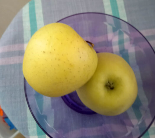 Сын одобрил только пластиковую миску:  не нужна. зато не бьется