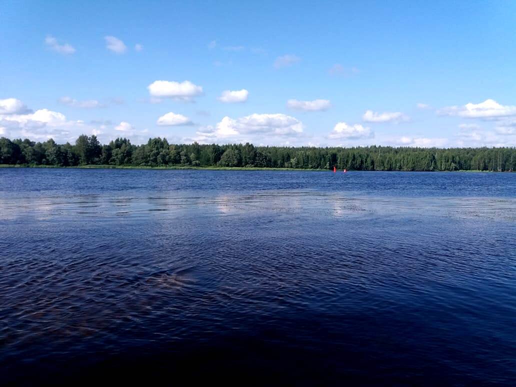 Река Свирь.