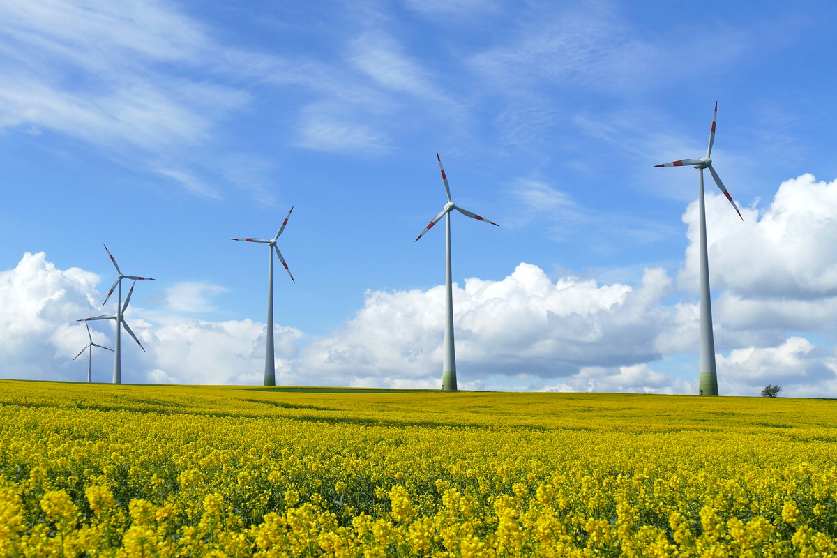 Бельгийская инфраструктура 