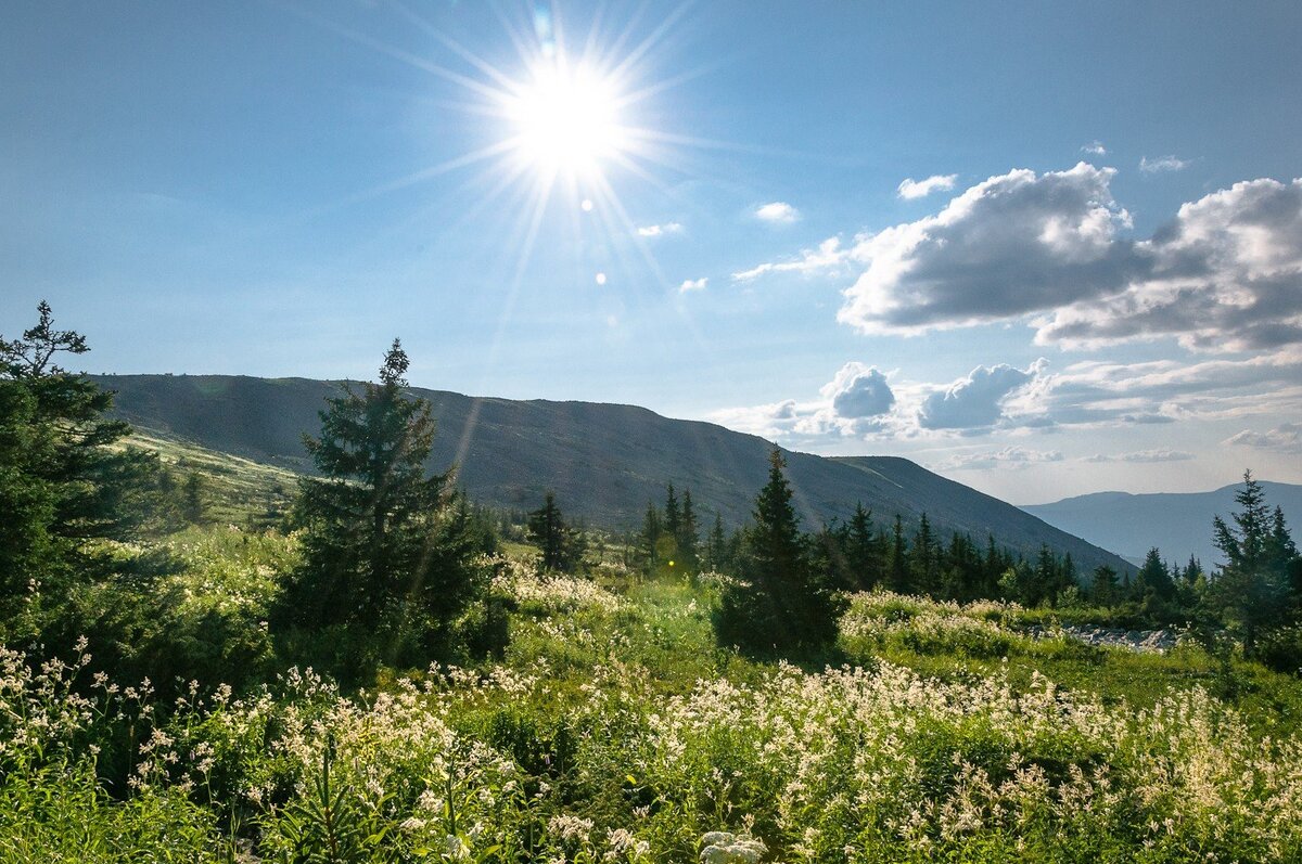 Фото из Яндекс.Картинки