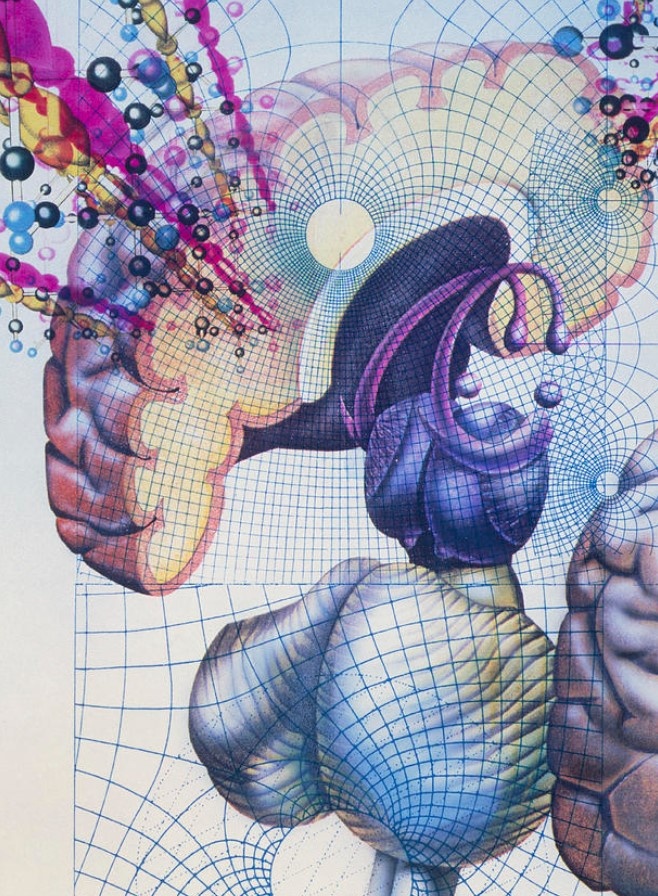 Области памяти мозга. Изображение человеческого мозга, разделенное на области памяти. Вверху находится головной мозг (сагиттальный срез), место наиболее сознательной и разумной деятельности. Лимбическая система включает таламус в центре справа (синий), гиппокамп и миндалину (U-образную форму) над ним и мамиллярное тело (тонкое с выпуклым концом). Лимбическая система участвует в выражении эмоций и формировании памяти. Спинной мозг находится внизу кадра, над ним - мозжечок (полосатый). Цветные сферы (вверху слева) представляют собой химические нейротрансмиттеры, передающие нервные импульсы.