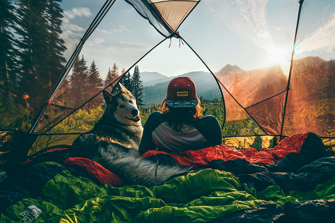 Adventurous life. Вид из палатки. Вид из палатки на горы. В поход с собакой. Вид из палатки на природу.