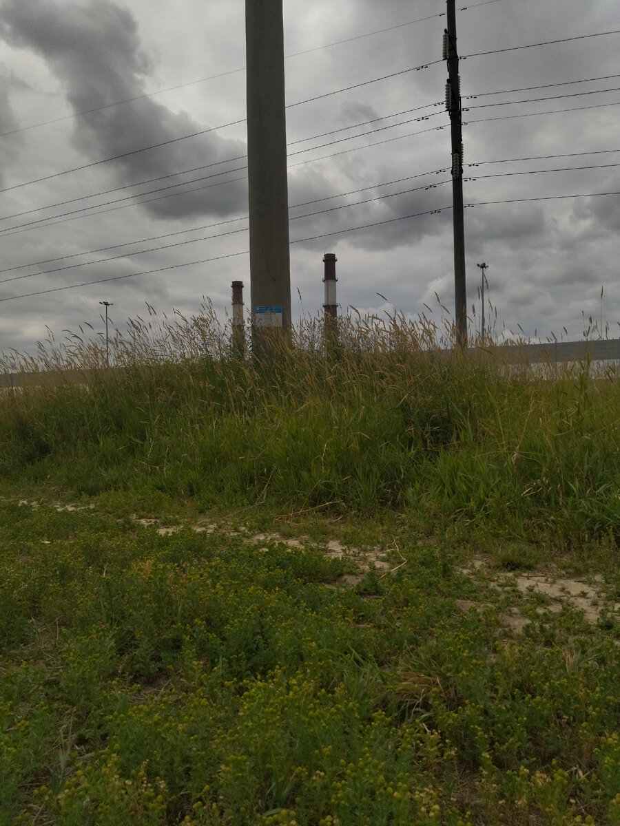 Вот такие утра я люблю