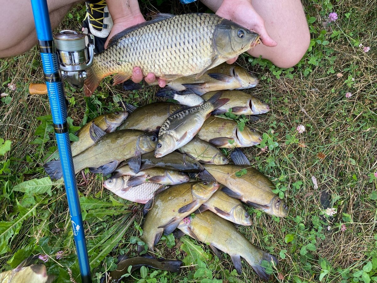 Главное на платном пруду - это хороший улов!