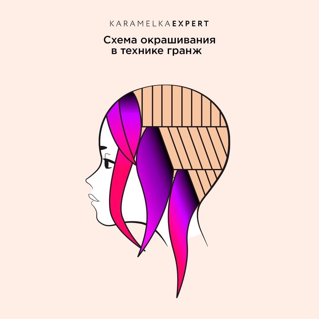 Схема техники окрашивания волос. Скрытое окрашивание схема. Скрытое окрашивание схема и техника.