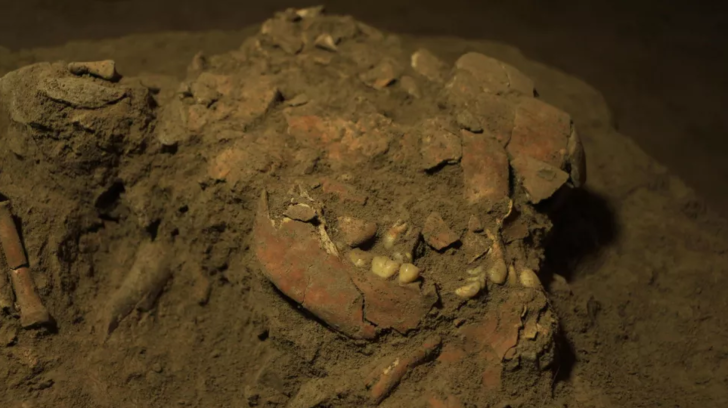 .Hasanuddin University