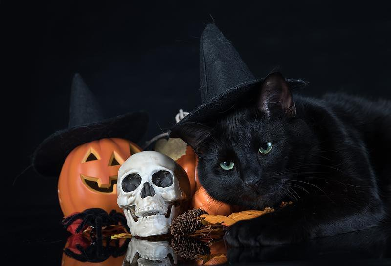 Источник: m.fotostrana.ru