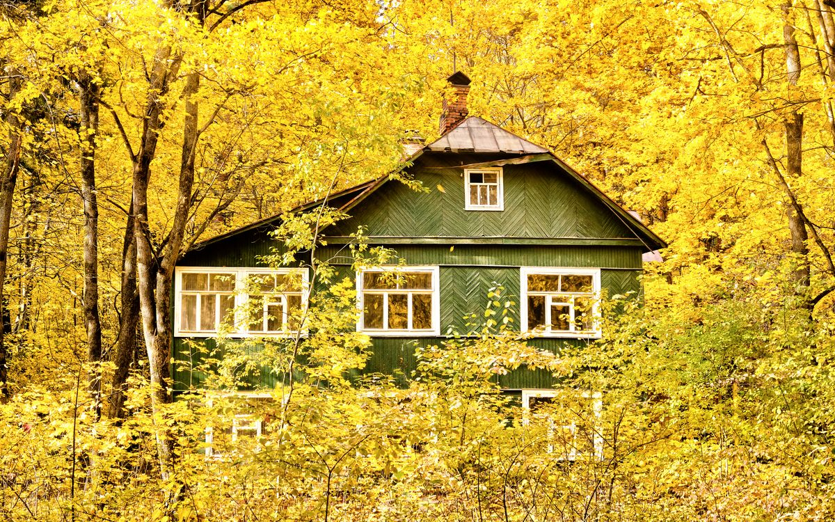 Картинка из интернета.