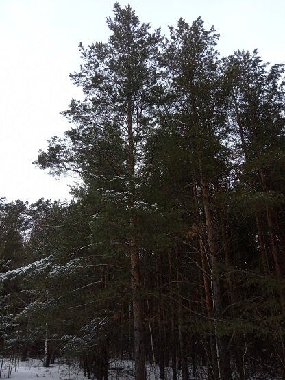 Фото из личного архива автора