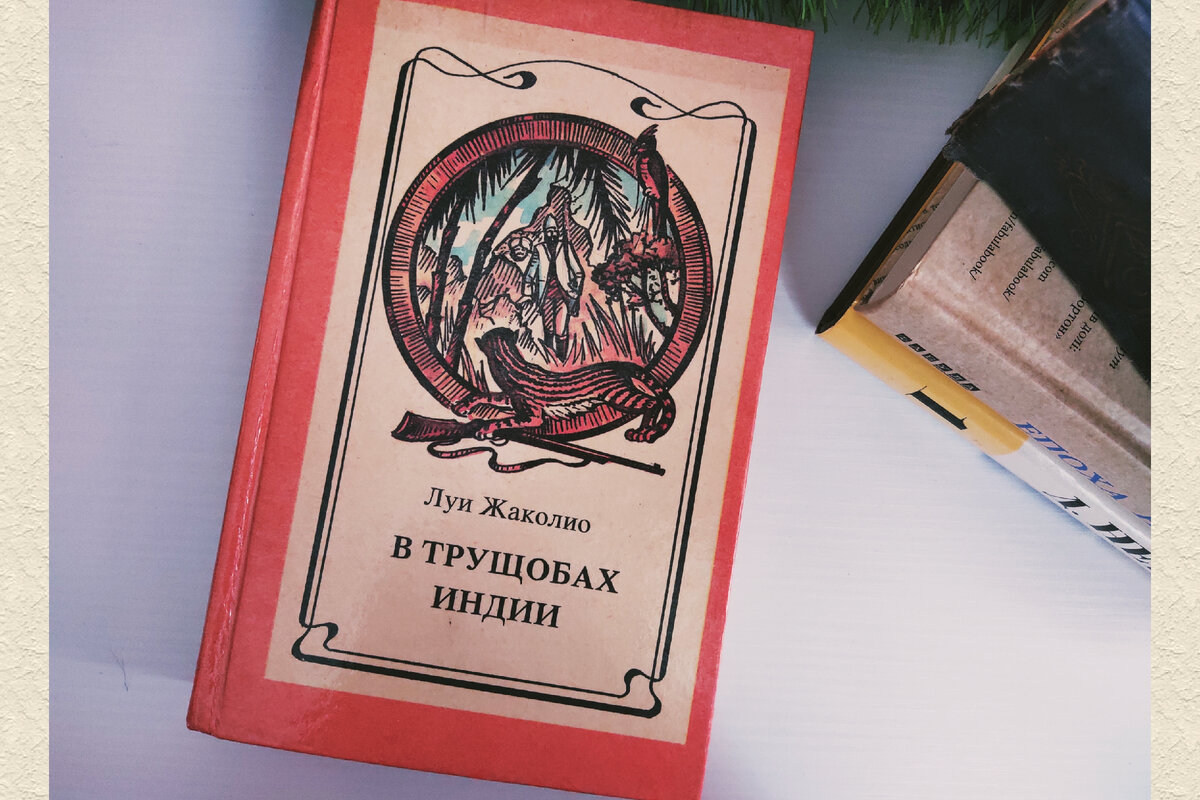 книгу таки прочитал. книги для детей. почему надо читать книги. книга человек. фото для канала про книги.