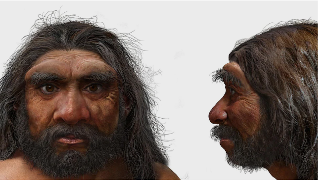 Так мог бы выглядеть Homo longi.