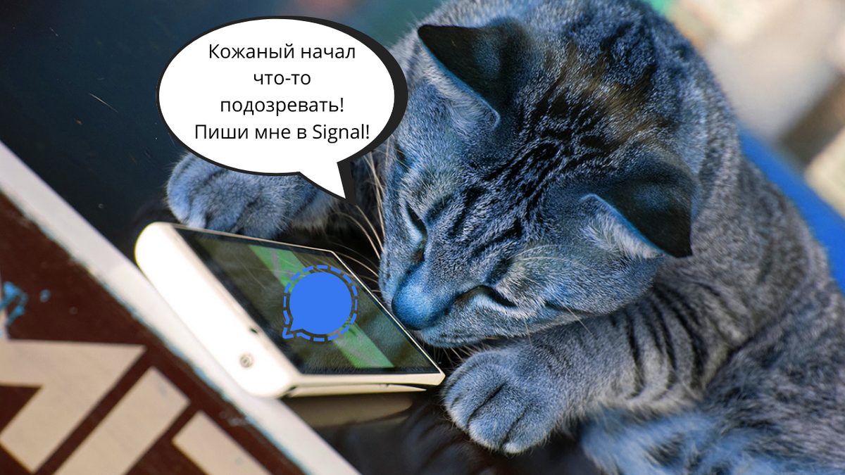 Безопасный мессенджер Signal