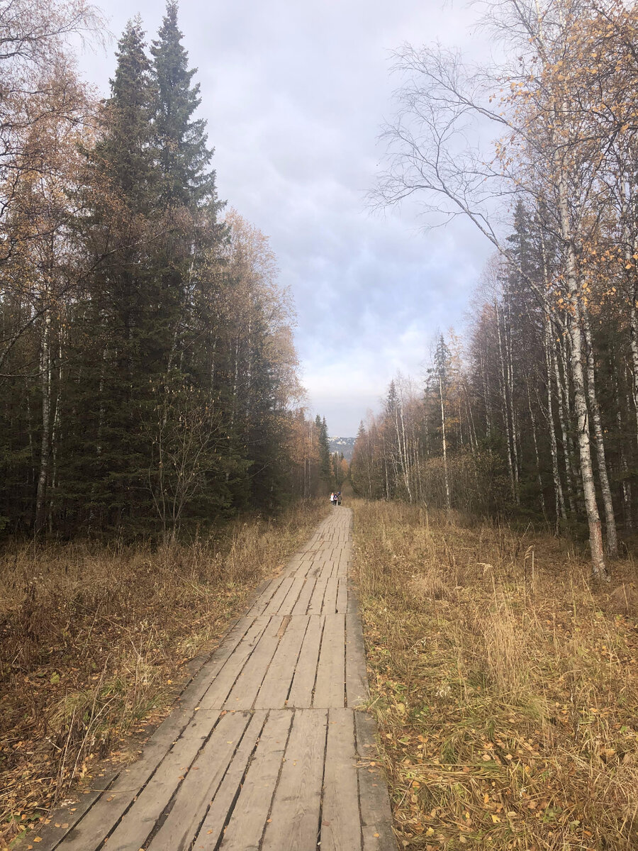 Тропа в начале пути