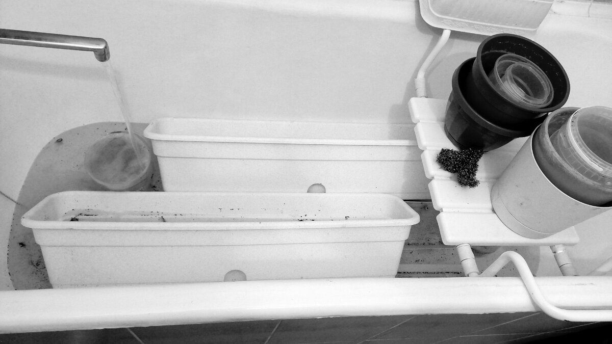 С этими  кашпо длиной  аж 80 см  справиться  нелегко, пришлось поместить их в ванну.