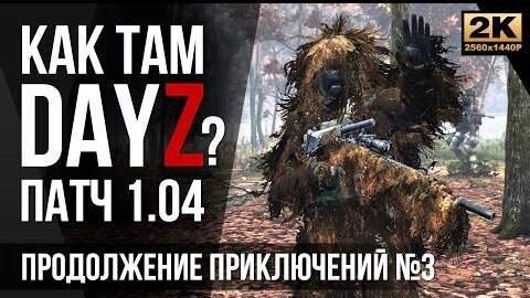 №3 Как там DayZ на релизе • Продолжение приключений [2K]