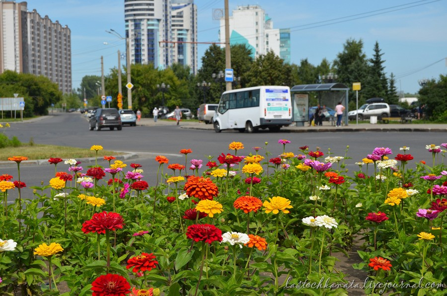 Ковид барнаул. Парк у Оби. Виды Барнаула с цветами. Парк Нагорный Бийск. Барнаул берег Оби со стороны улицы парковой.