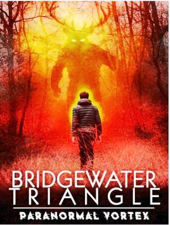 Книга о Бриджуотерском треугольнике.