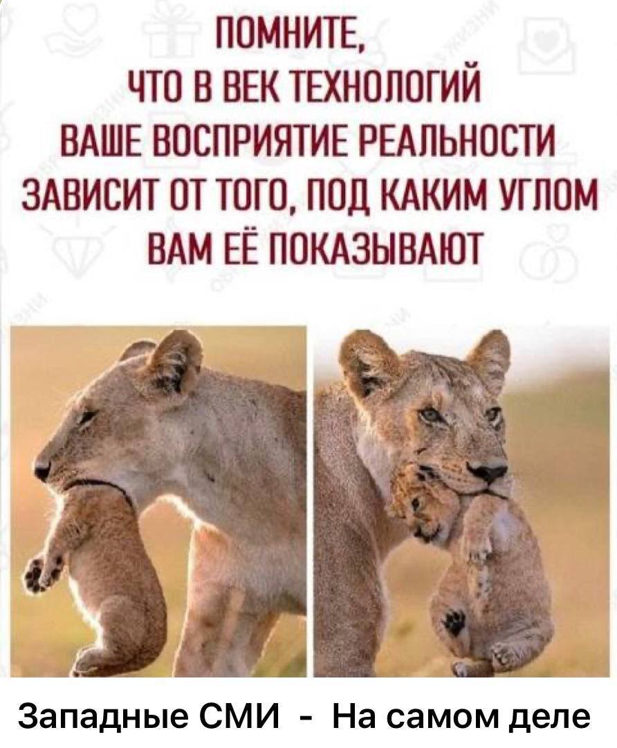  "Русские Орки", Дорогие мои, Хорошие - не останавливайтесь!
(об этом должны знать все!) 

"Добрый день. Я гражданин Украины, нахожусь в Киеве. Мы эвакуировались из Бучи 12 марта. Наш дом (250 квартир) полностью разграблен. Украинская пресса обвиняет в разграблении Бучи "Русских орков", и люди в это верили... Но, прошла неделя, и те единичные соседи, которые до сих пор живут в доме, шепотом после того, как ты поклянешься Мамой, здоровьем своих детей, и всеми святыми, в ужасе от увиденного беспредела рассказывают Правду... 
Русские вышли с Бучи 30 марта. А 31-го, вечером началось разграбление. Работала бригада больше 10 человек в гражданской одежде, но охраняли и командовали ими военные ВСУ круглосуточно. Ночью при свете налобных фонарей. 
Грабили наш дом три дня (31, 1 и 2-го апреля). Взломаны и разграблены все квартиры кроме тех четырех, где были люди. Об этом знают все, но молчат. Молчат даже те, у кого близкие служат в ВСУ и полиции! Все погружены в животный страх! Женщины, когда к ним подходят, то кланяются и с ужасом в глазах начинают плакать и дрожащим голосом говорят "Спасибо". Такая реакция потому, что они знают, что те, кого мы считаем нашими, убивают сразу без предупреждения. Вчера в Буче идентифицировали четыре из шести трупов, найденных в подвале соседнего дома. Двое из них оказались мастерами по установке дверей, а двое - слесарями! Это устранение свидетелей, мародеров, которые три дня трудились на "командиров ВСУ"! (взламывали квартирные двери). Теперь ещё, у нашей семьи есть (вернее была) дача в большом селе под Киевом. Дозвонился соседке. Село разрушено, каждый 3-й дом. Много людей эвакуировалось. Остались лишь те, у кого корова. Наше село грабили части ВСУ, которые зашли, как только отошли российские войска!!! Десять дней. Все дома взломаны и ограблены!!!  Люди молчат. Сосед с малыми внуками выехал в Малин к дочке, а корову и кур передал под присмотр соседке. Соседка  увидела, что с его дома "наши" выносят даже мебель побежала к ним: "Хлопцы, да що ж вы робытэ, мы ж свои?!! Её сразу же под заборчиком и пристрелили... И ее мужа тоже!  За что убили бабу Машу? Её недоенные коровы три дня истошно мычали на всю округу, потому что соседи боялись выйти с хаты даже в туалет, и ходили в кастрюлю. На третий день, воины света сжалились и перерезали бедолажным коровкам горло. В части ВСУ которая зашла в наше село было 70-80 человек. И все они грабили и убивали! 
Вы думаете, что на Украине фашизм? Нет, это не фашизм. Фашисты своих не грабили и не убивали! Это сатанизм лютый, бессмысленный и беспощадный! Они не "наши", они нелюди! Они же не могли не понимать, что в селе, хоть и мало, но всё же остались люди. Хоть они и сидят по хатам и видят, что вы творили эти десять дней с нашим селом! Соседи видят ваши преступления. Ублюдки. В Буче осталось около 3000 людей, в нашем селе около 40-ка. Люди всё видели, и всё знают и всё расскажут!!! Не убьёте же вы всех свидетелей вашего лютого сатанизма? А даже если вы вернётесь, то вы не убьёте всех! Народ нельзя убить. Слава Богу, что кому-то пришло в голову, отвести российские войска от Киева. Это решение - Божье вразумление.Оно все расставило на свои места.
И главное. За последние три недели наша семья потеряла всё: квартиру, которую мы выплачивали 17 лет, дачу мы строили 20 лет, вкладывая всю душу, машину - всё. Но, Слава Богу, дети остались живы. У меня остались  брюки,  туфли, рубашка и одни трусы... Я это переживу... Потому что у меня родилась Мечта... о том, что "Русские орки" даст Бог, вернутся в мой любимый Киев, в мою  Бучу, в моё  село, и я смогу записаться к ним рядовым, чтобы освободить мою Батькивщину, мою Родину от лютого сатанизма, что терзал три дня наш дом в Буче, и десять дней истязал моё любимое село.. Пожалуйста, "Русские Орки", Дорогие мои, Хорошие не останавливайтесь. Ради Христа Родненькие!
Пожалуйста опубликуйте моё письмо. Я сейчас нахожусь в Киеве, и не могу это огласить сам."
Источник