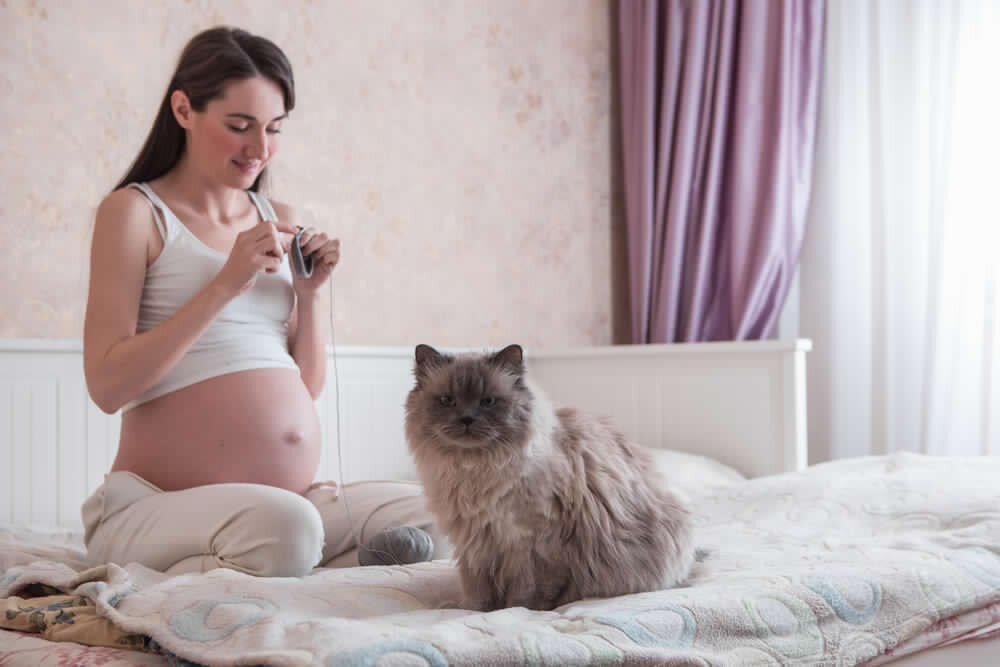Народные традиции имеют много общего в отношении к беременным женщинам в Италии и России. Контакты с кошками недопустимы у итальянок потому что ребенок может родиться без фаланг пальцев. А у русских любительниц кошек дети будут иметь проблемы с речью