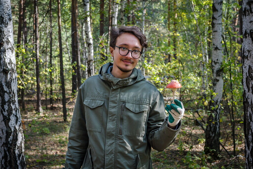 Дмитрий Юровский знает, что делать с мухомором и другими грибами