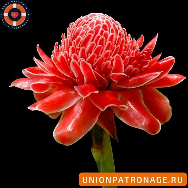 Фото взято из открытых источников 