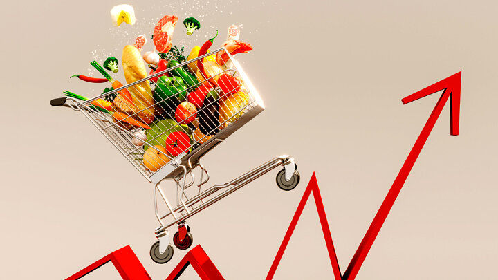 ФОТО: ILIJA ERCEG / SHUTTERSTOCK.COM 