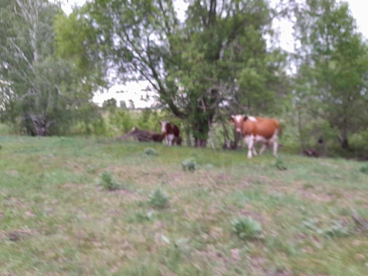 ракурс немного другой,но суть одна)))

