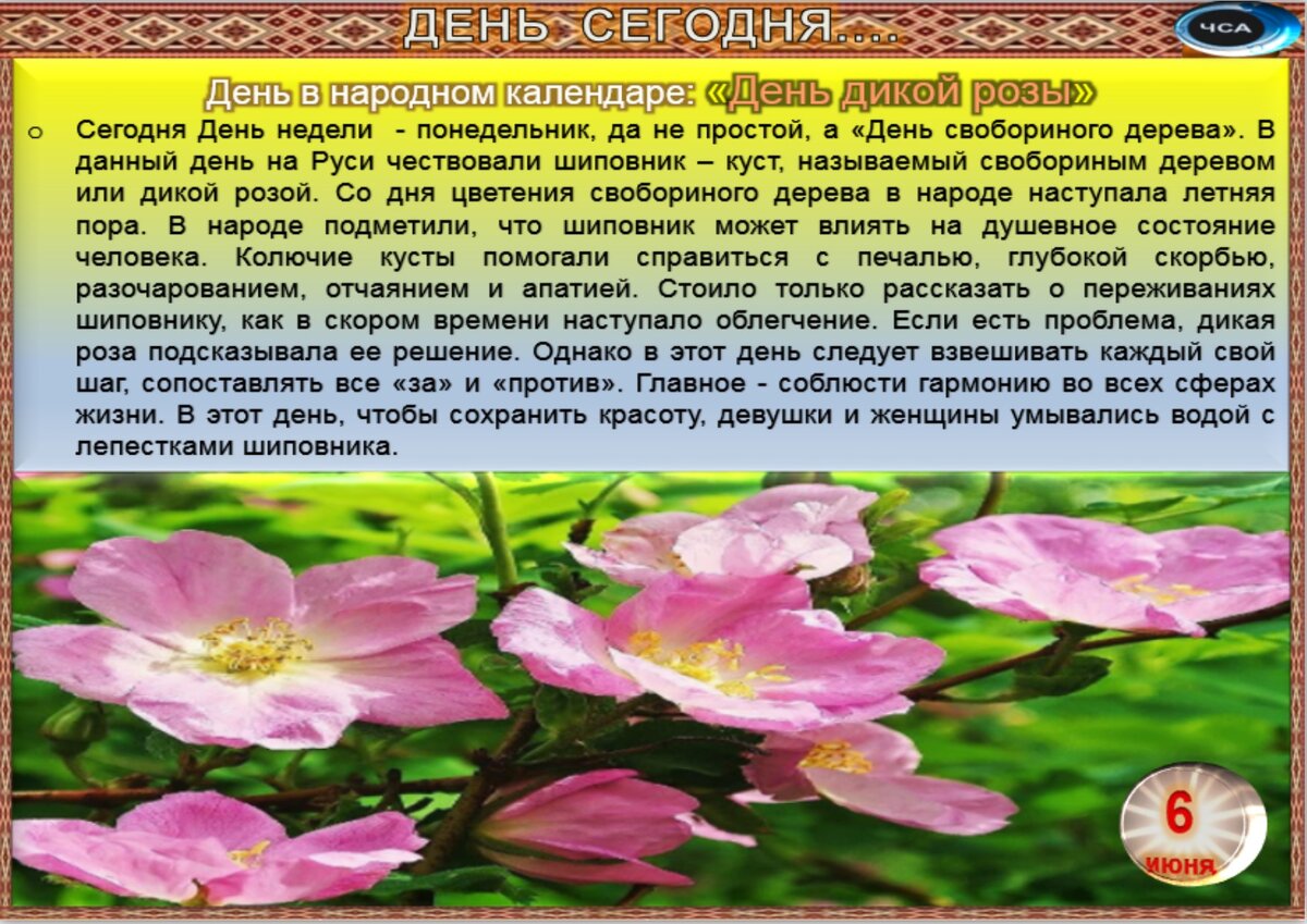 6 июня - Традиции, приметы, обычаи и ритуалы дня. Все праздники дня во всех  календаре. | Сергей Чарковский Все праздники | Дзен