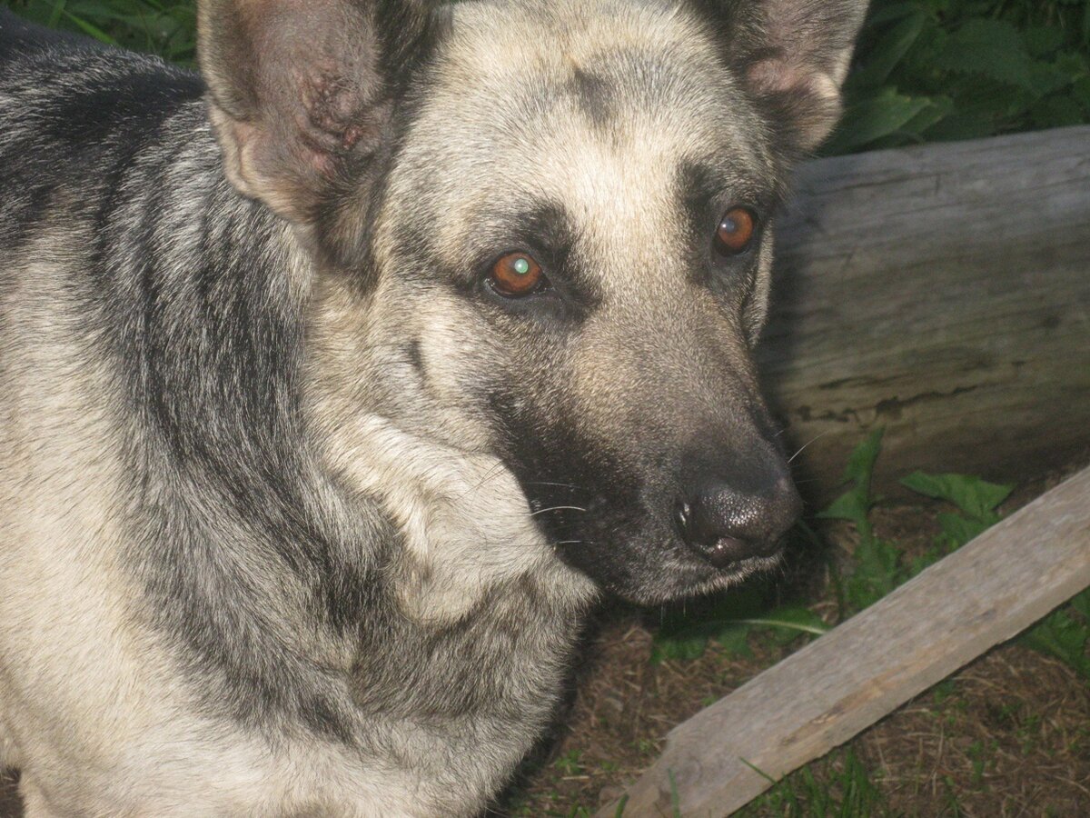 Моя Ранюшка