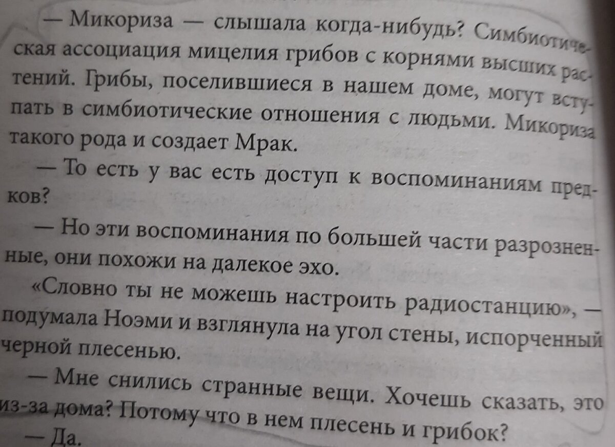 Во всём виноваты грибы! | Елена Богова | Дзен