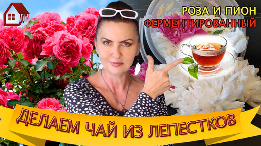 Tea Pot Порно Видео | pstuning.ru