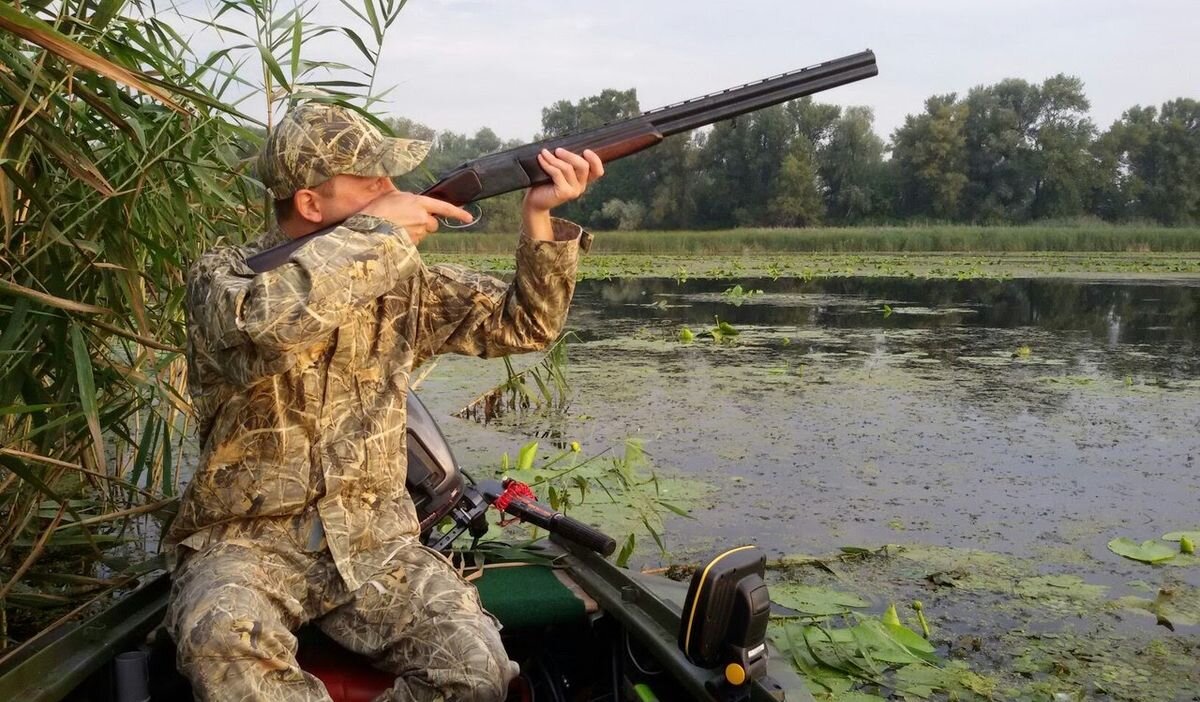 Фото из сети.