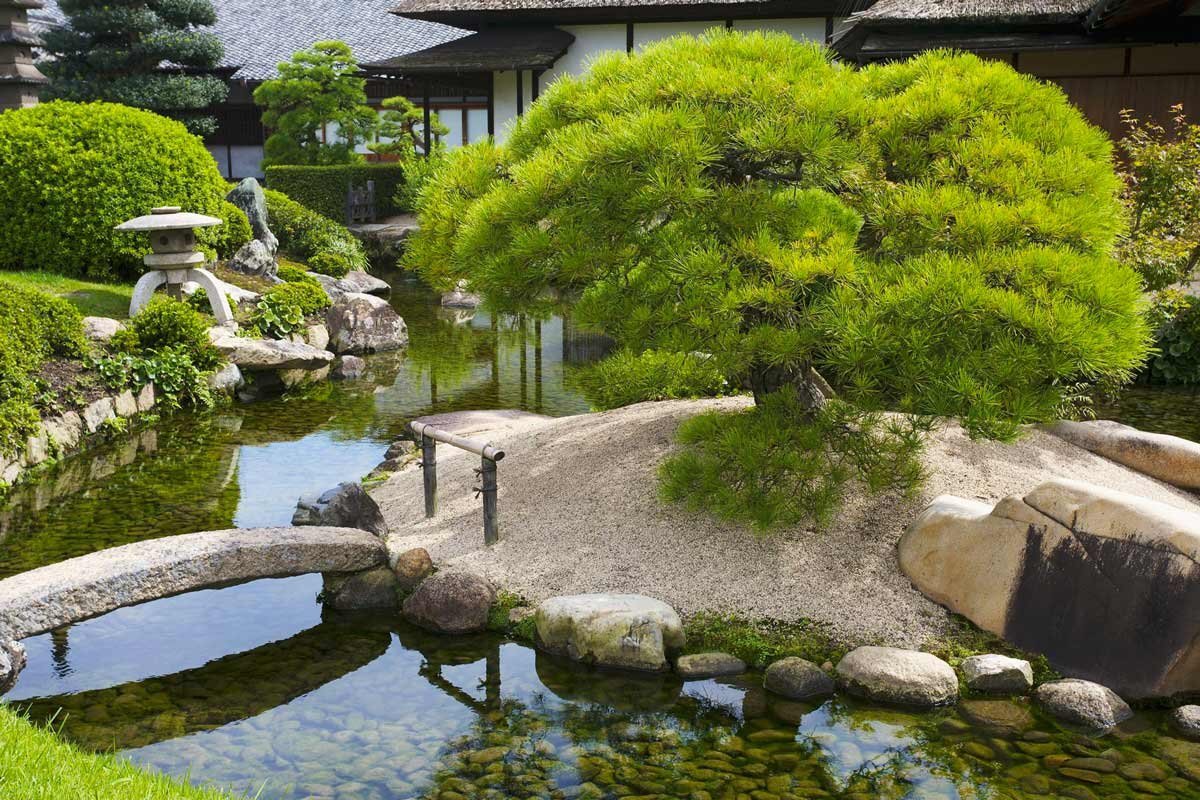 Устройство японского сада