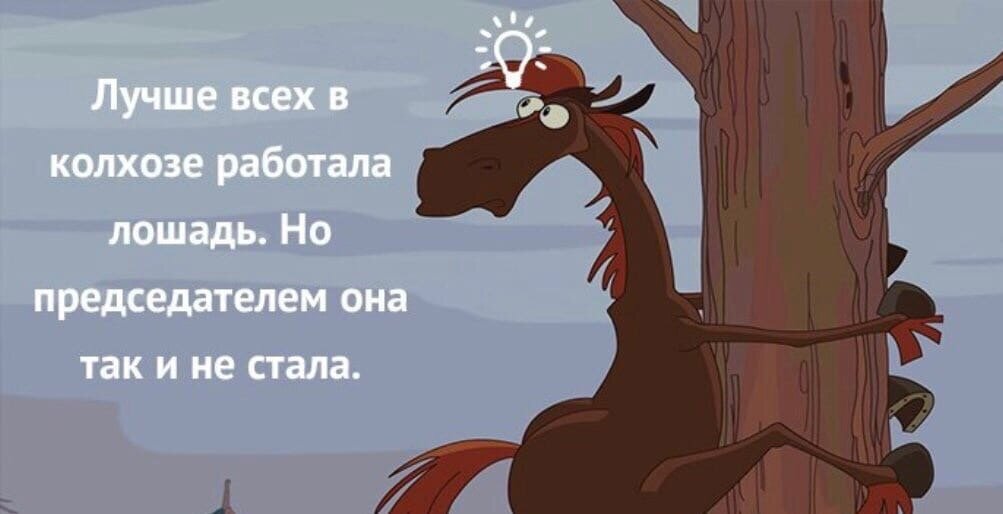 Многие не работают. В колхозе больше всех работала лошадь. Брлтшге всех в колхозе работала лошадь. Лошадь председатель колхоза. Работаю как лошадь.