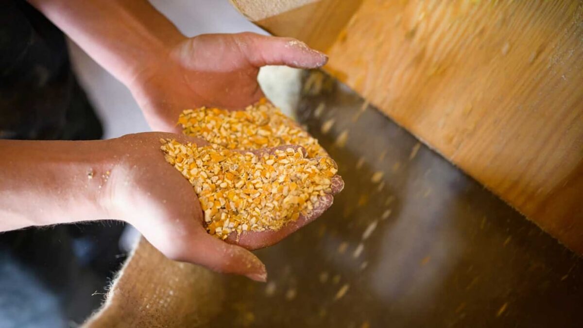 Фото: © Global Look Press/Philipp Schulze/dpa