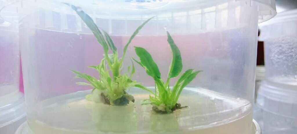 Фото: компания Nextagro, г. Нижний Новгород