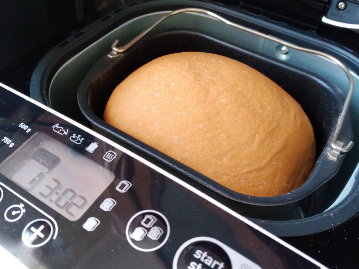 Рецепт теста для пельменей в хлебопечке мулинекс. Хлебопечка делает тесто для пельменей и пиццы