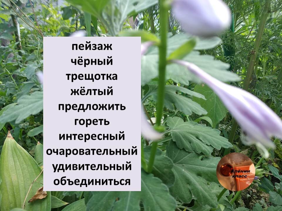 ответы к тесту1
