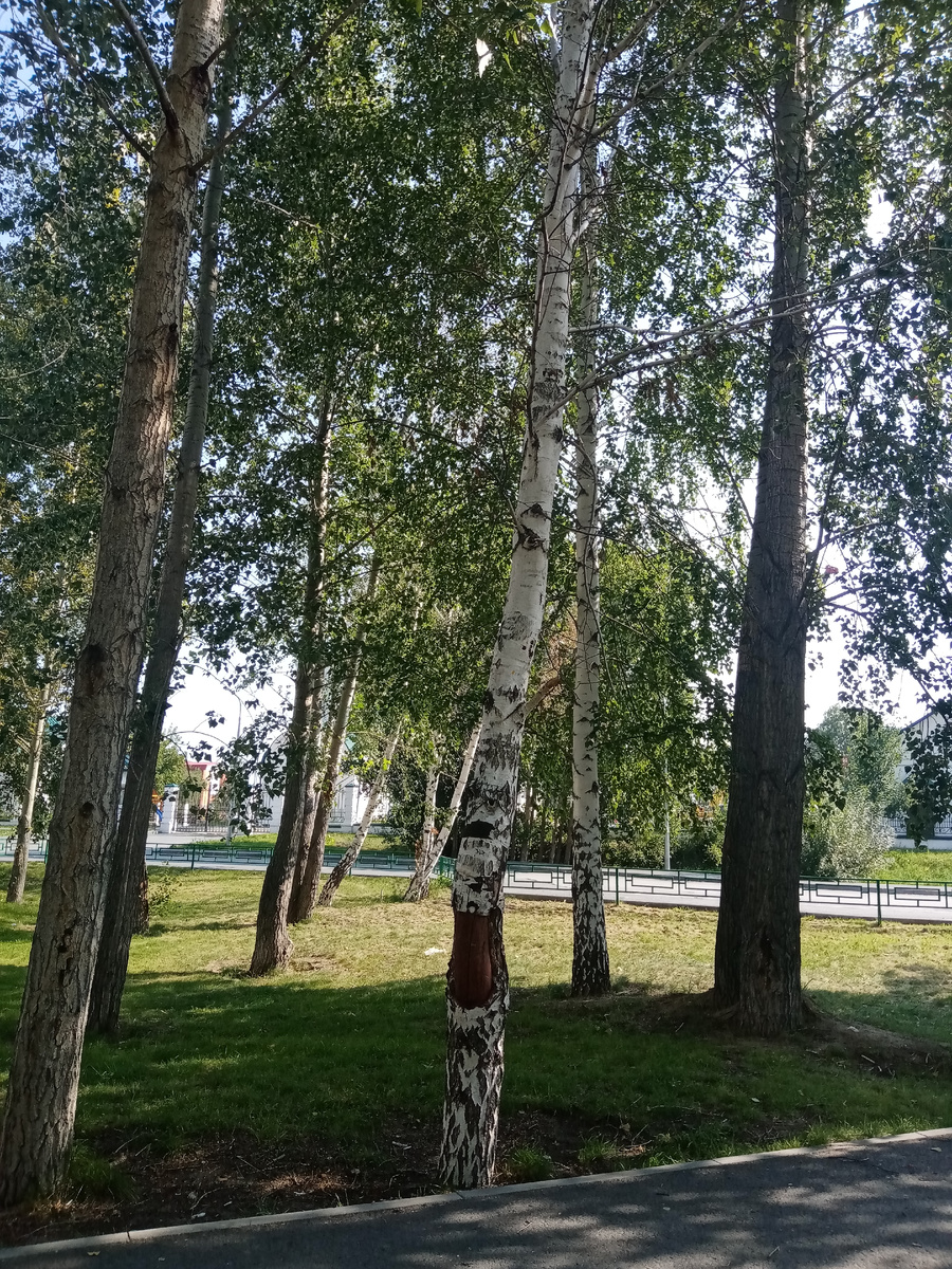 В парке около церкви